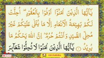 Surah Tul Maidah Part 01 Recitation By MbA Para #06 || Daily Listening QuranPak||