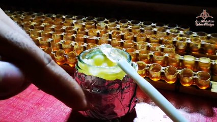 طرق حفظ و استعمال الغذاء الملكي