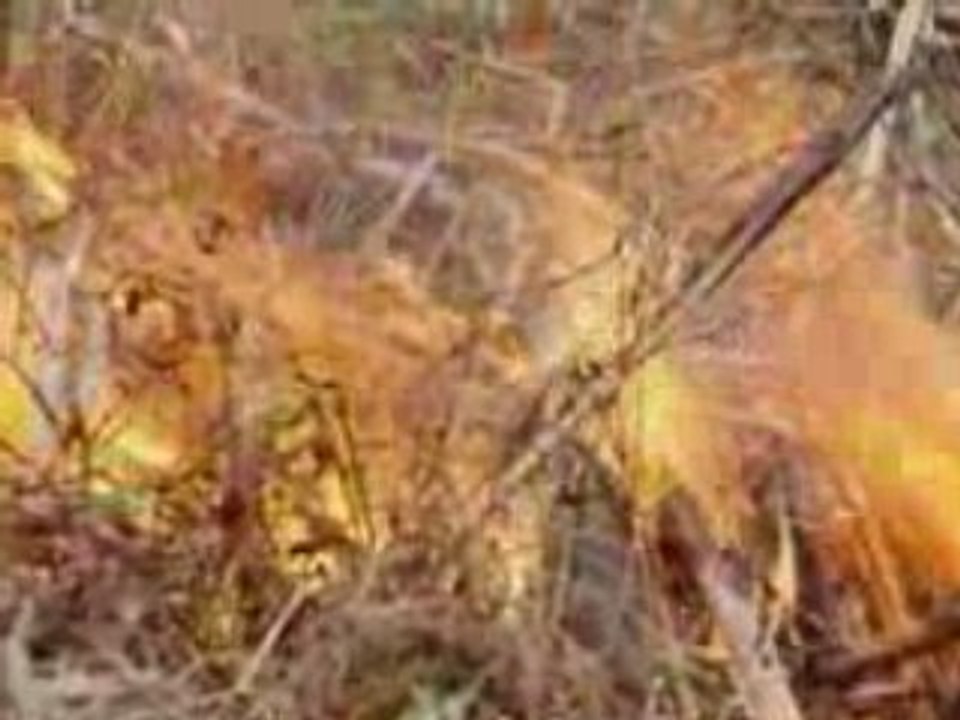 Le Peuple du Soleil - Maya, Le Monde Perdu [02 / 04]