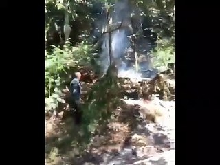 Suhu Panas Ekstrem, Api Bakar Hutan di Pelabuhan Riam Kanan Tiwingan Lama