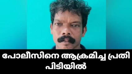പരാതി അന്വേഷിക്കാനെത്തിയ പൊലീസിനെ ആക്രമിച്ചു; പ്രതി പിടിയില്‍