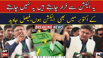 They want to escape from the election: Senator Faisal Javed