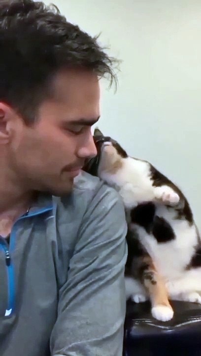 Kucing dan Manusia