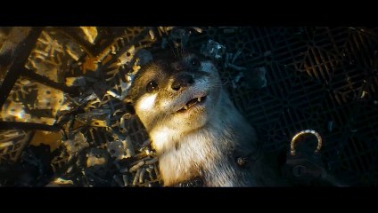 Meet Rocket's Baby Friends Scene - GUARDIANS OF THE GALAXY 3 (2023) Movie CLIP 4K