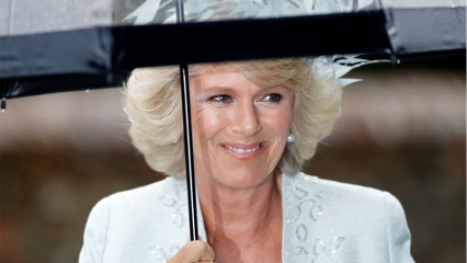 VOICI - Camilla Parker Bowles : son petit-fils victime d'un accident juste avant le couronnement