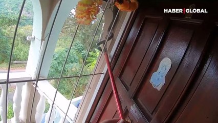 Dünyanın en zehirli ikinci yılanını, evine girmeye çalışırken böyle yakaladı!