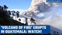 Guatemala: More than 1,000 evacuated as active volcano named ‘Fuego’ erupts | Oneindia News