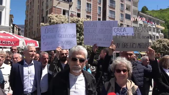 Çay Üreticileri, Yaş Çay Alım Fiyatını Protesto Etti