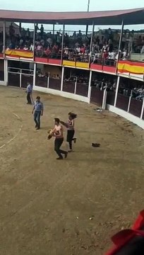 Ativista anti-touradas retirada de praça de touros por politico espanhol