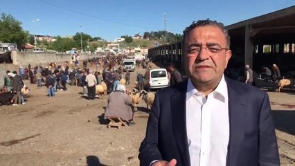 CHP Diyarbakır Milletvekili Adayı Tanrıkulu, Canlı Hayvan Borsası'nı Ziyaret Etti