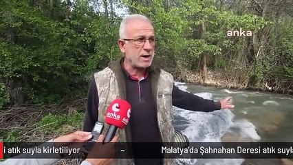 Malatya'da Şahnahan Deresi atık suyla kirletiliyor