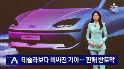 테슬라보다 비싼 기아…韓 전기차, 판매량 반토막