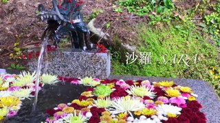 See Japanese autumn leaves at Mt. Kowata Okitsushima Shrine in Fukushima(福島の木幡山の隠津島神社で紅葉狩り) - Natural garden