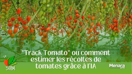 "Track Tomato" ou comment estimer les récoltes de tomates grâce à l’IA