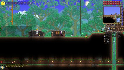 DK der Weltenmarkler | Terraria Let's Play 262