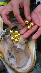 Collect golden pearls