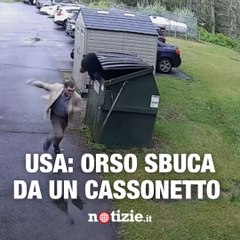 Stati Uniti: orso sbuca da un cassonetto, preside in fuga