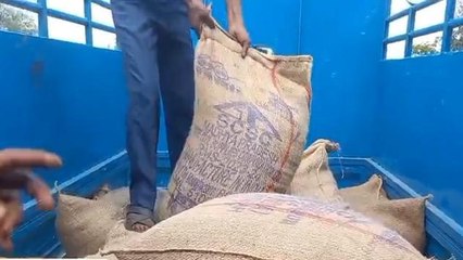 পশ্চিম মেদিনীপুর: সরকারি গম পাচার করতে গিয়ে ধরা পড়ল এলাকাবাসীর হাতে!