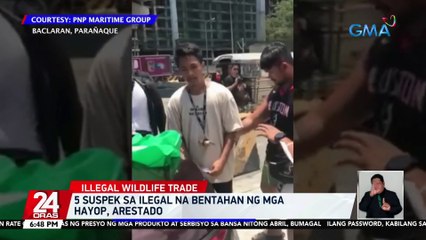 5 suspek sa ilegal na bentahan ng mga hayop, arestado | 24 Oras