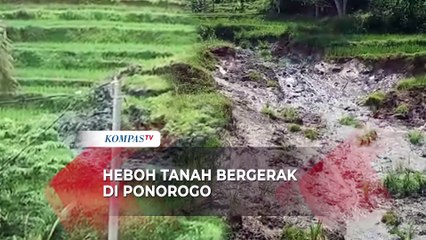 Menggemparkan Ponorogo, Fenomena Tanah Bergerak di Tengah Sawah