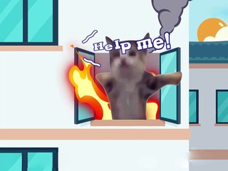 happy cat and banana cat