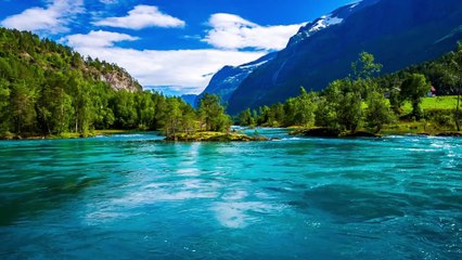 River Background Video No Copyright  | River Stock Footage | Romance Post BD