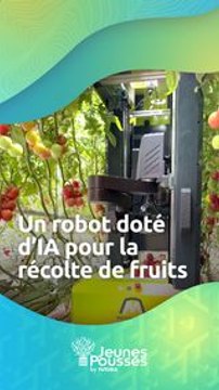 MetoMotion lève 8 millions de dollars pour accélérer la production de son robot autonome de cueillette de tomates et réduire les coûts de récolte de moitié en Israël !