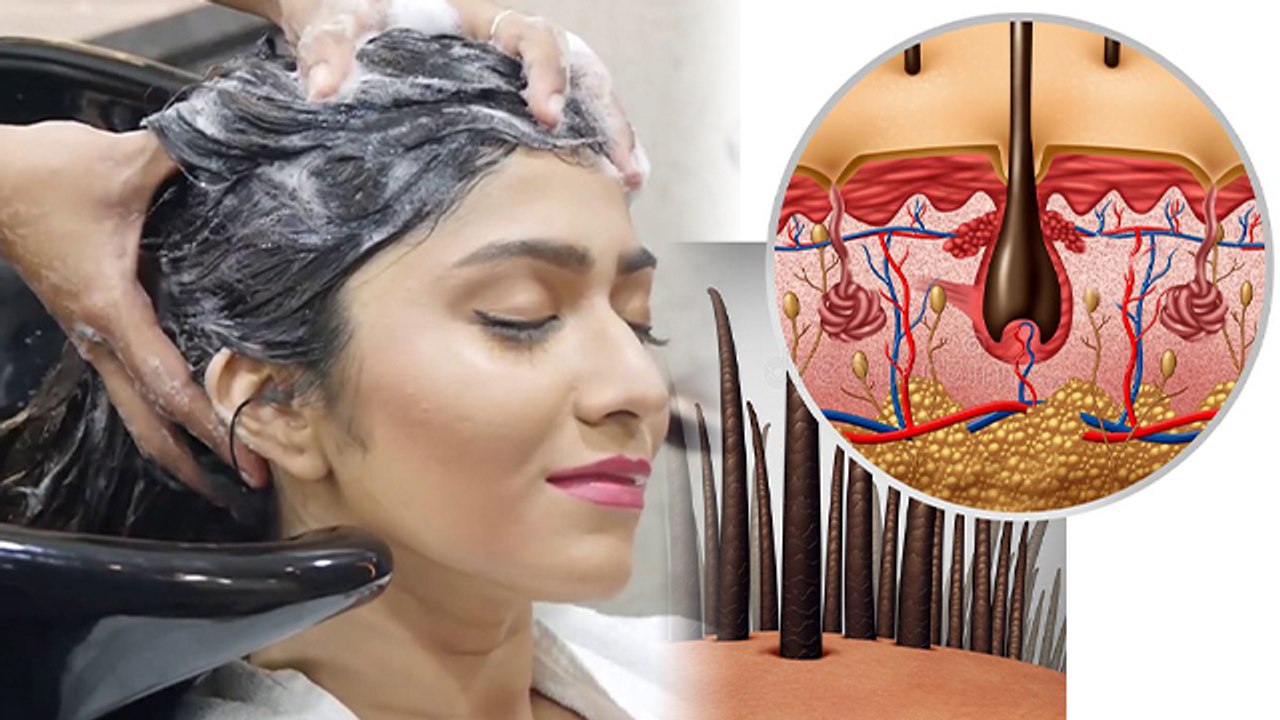 हेयर स्पा कितने दिन में करना चाहिए Hair Spa Kitne Din Me Karna