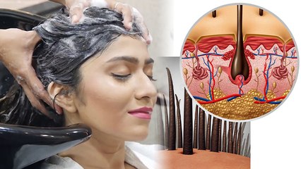 हेयर स्पा कितने दिन में करना चाहिए | Hair Spa Kitne Din Me Karna Chahiye | Boldsky