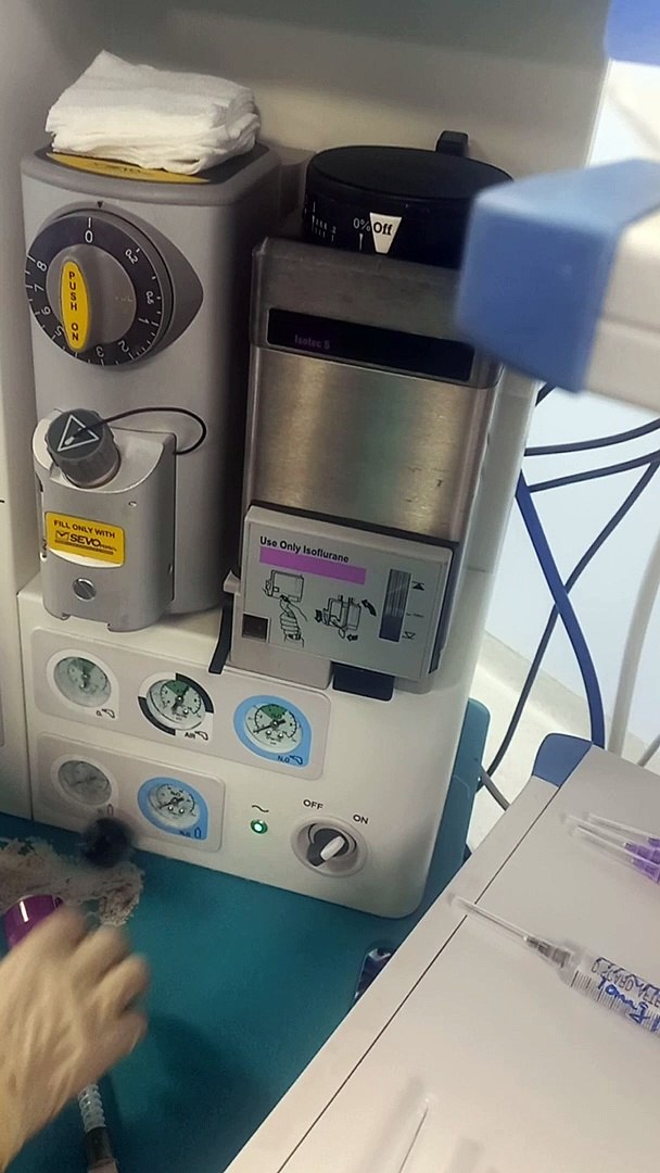 ⁣How to use Anesthesia Machine