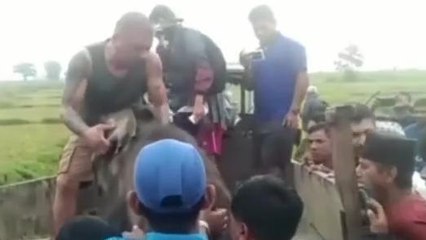 ভারত-নেপাল সীমান্তে অজানা জীব! কাছে যেতেই চোখ কপালে...এলাকাজুড়ে চাঞ্চল্য