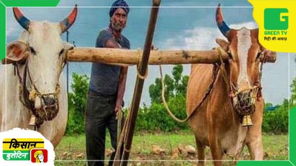 Kisan Bulletin May 05 2023 | Green TV | केंद्र सरकार द्वारा पशुपालन, मछलीपालन और डेयरी किसानों को दिए जाएंगे केसीसी, सरकार ने शुरू किया नया अभियान