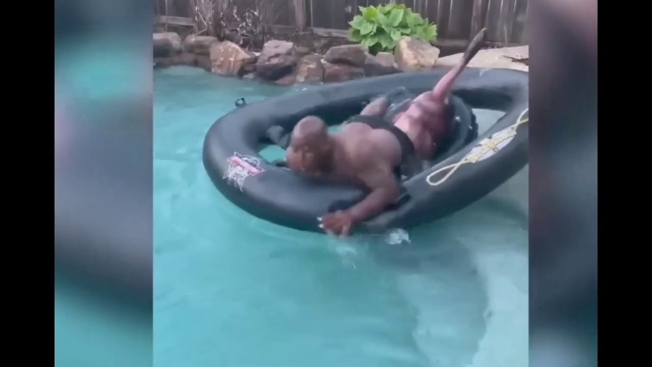 TRY NOT TO LAUGH WATCHING FUNNY FAILS VIDEOS 2023