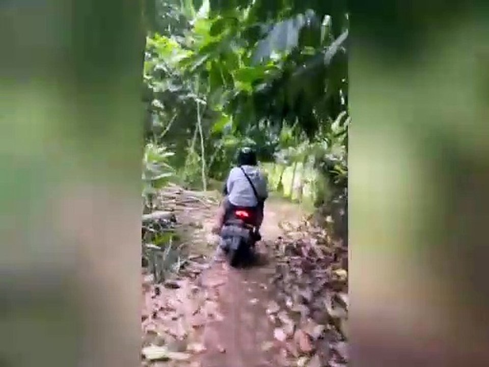 wonosobo pt`1