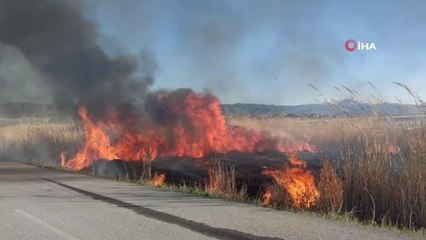 Van'da sazlık yangınları devam ediyor
