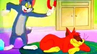 Tom and Jerry part 3