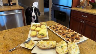 Great Dane loves to sample delicious comfort food