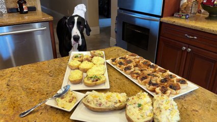 Great Dane loves to sample delicious comfort food
