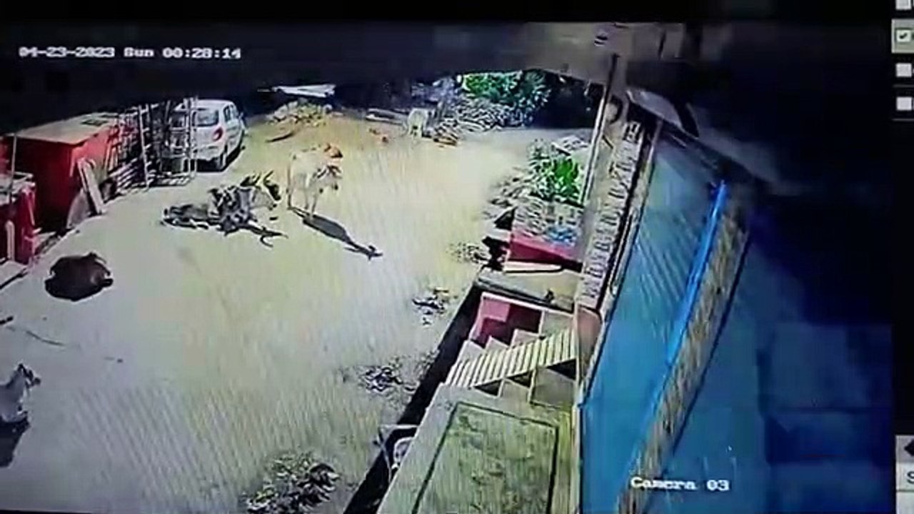 फेरे कराकर आते हुए हुआ था पंडित पर हमला, कोटा में उपचार के दौरान टूटा दम] सीसीटीवी फुटेज में बाइक सवार दो बदमाशों ने दिया था वारदात को अंजाम