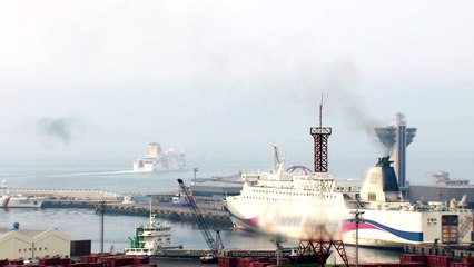 "대기오염 막으려면 전기 선박 도입해야" / YTN