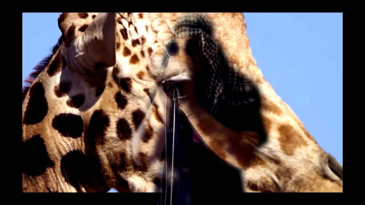 Jon Be Infinit Beats | Magnanimous (Official Music Video)