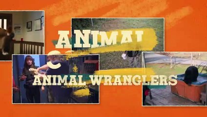 The Real Animals of Animal Control   Hulu