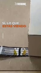 'Bot oruga', el nuevo robot que sé propone salvar y rescatar vidas