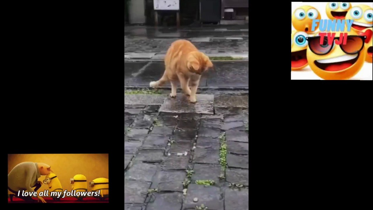 FUNNY RAIN 5