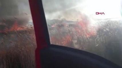 Erçek Gölü'ndeki Sazlıkta Yangın