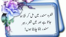 amazing urdu quotes, quotes in urdu, best urdu quotes, beautiful quotes, new urdu quotes