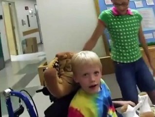 Fetch! with Ruff Ruffman Fetch with Ruff Ruffman S02 E004