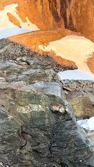 Hiker Visited by a Furry Friend