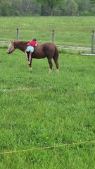 Determined Girl Climbs onto a Big Horse
