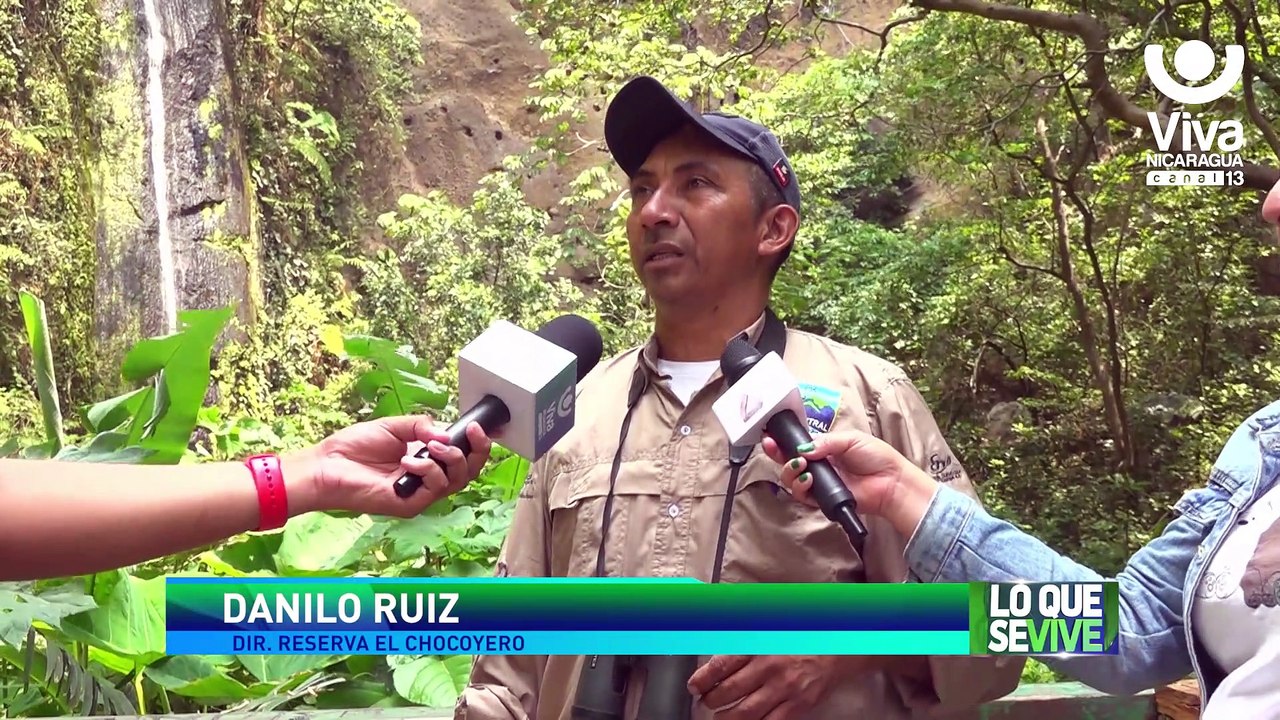 Ticuantepe inaugura el vivero forestal «Maderas Verdes»